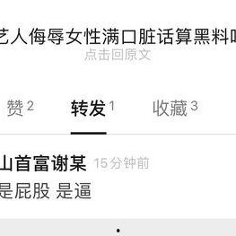 黑料是什么意思,真相与误解的交织