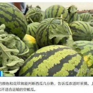 瓜老师,开启人生新篇章