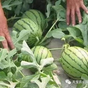 热门大瓜汇总