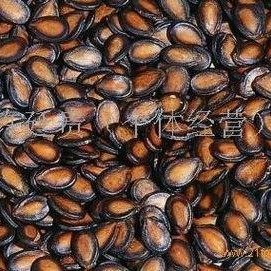 热门大瓜子,零食界的明星产品